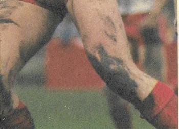 1986 Scanlens VFL #3 Stephen Carey Back